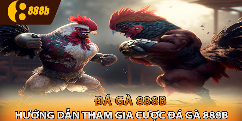 Hướng dẫn tham gia cược đá gà 888B